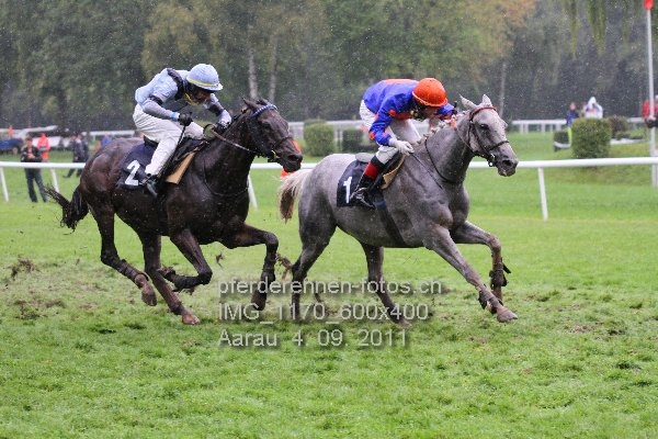 IMG 1170 600x400 prot