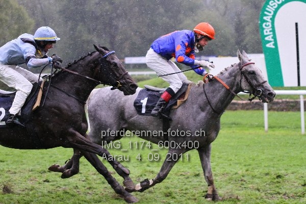 IMG 1174 600x400 prot