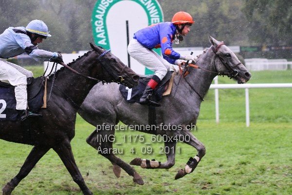 IMG 1175 600x400 prot