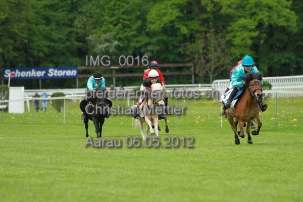 IMG 0016 prot