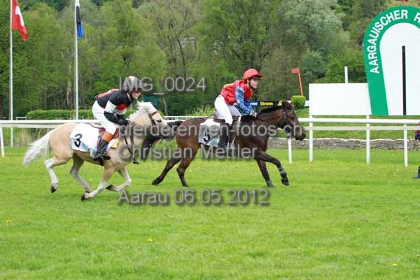 IMG 0024 prot
