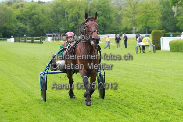 IMG 0059 prot