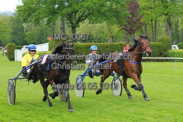 IMG 0067 prot