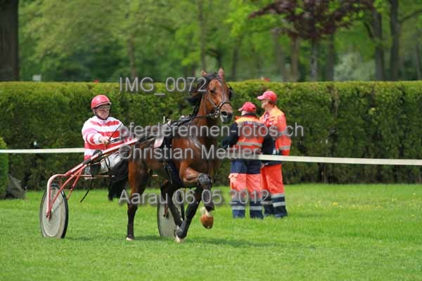 IMG 0072 prot