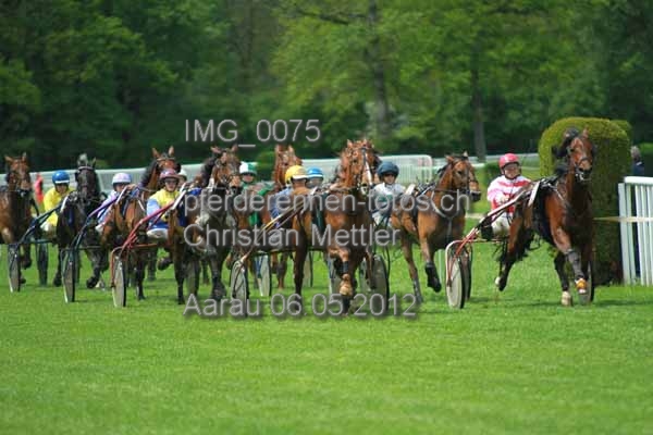 IMG 0075 prot