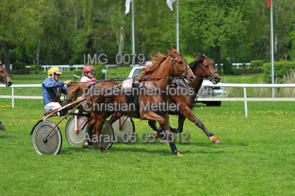 IMG 0079 prot