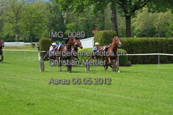 IMG 0089 prot