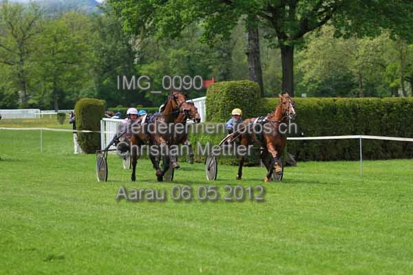 IMG 0090 prot