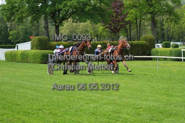 IMG 0093 prot