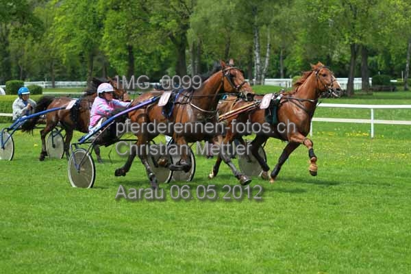 IMG 0099 prot