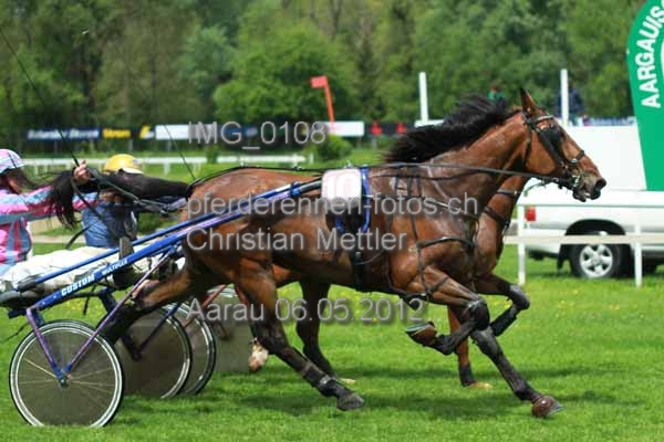 IMG 0108 prot