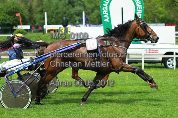 IMG 0109 prot