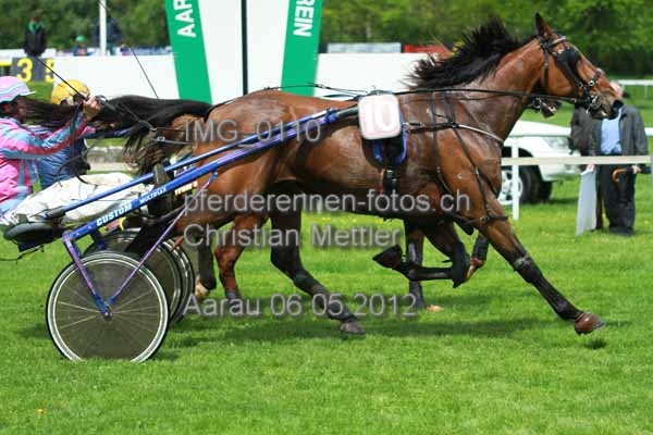 IMG 0110 prot