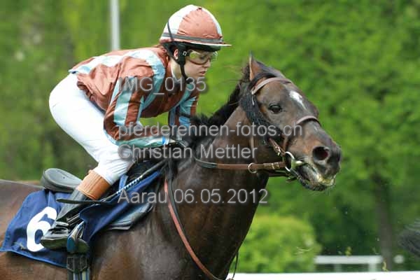 IMG 0135 prot