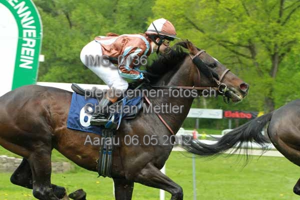 IMG 0136 prot