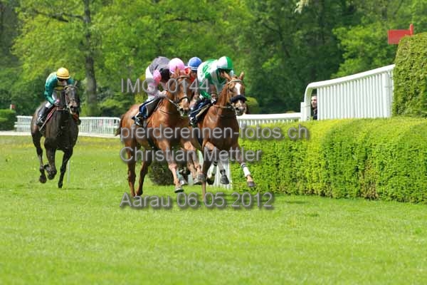 IMG 0144 prot