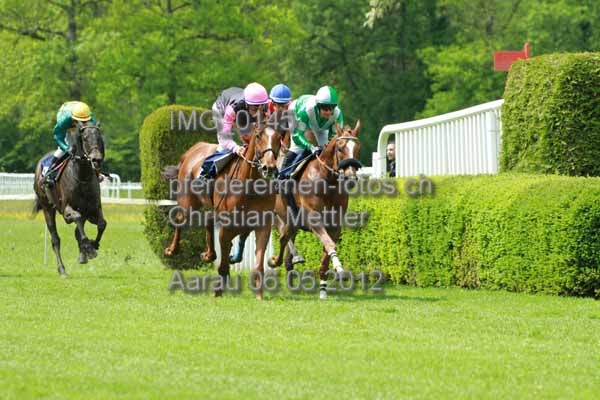 IMG 0145 prot
