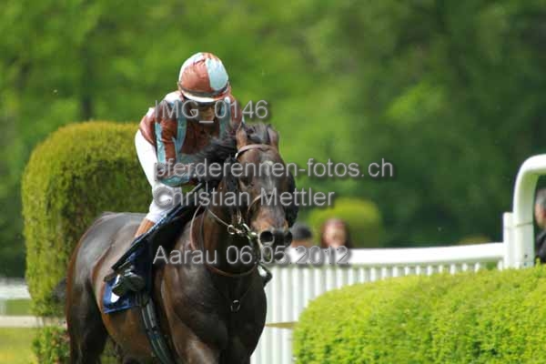 IMG 0146 prot