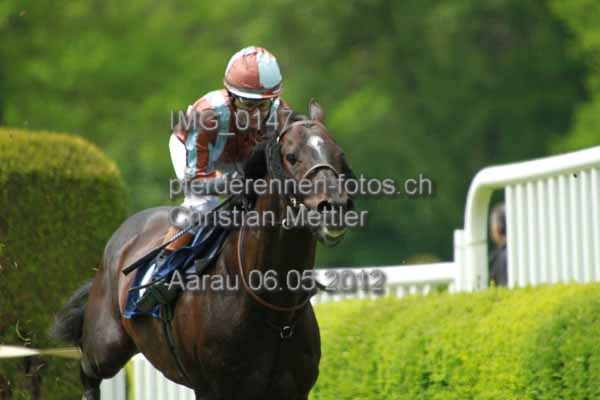 IMG 0147 prot