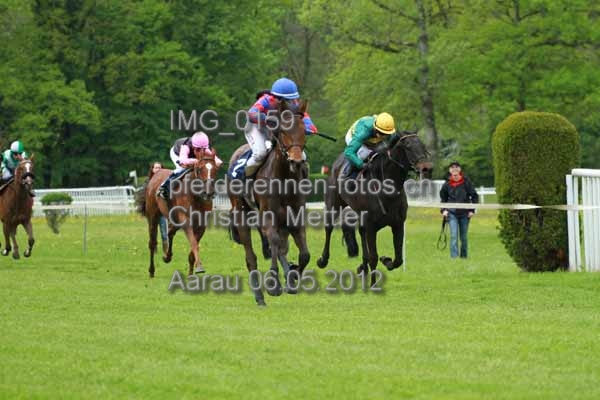 IMG 0159 prot