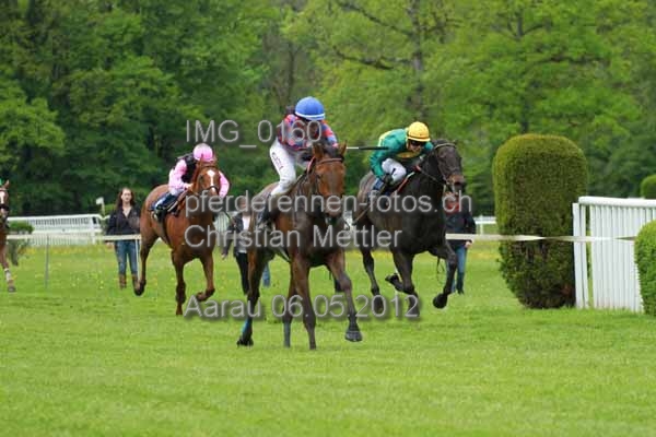 IMG 0160 prot