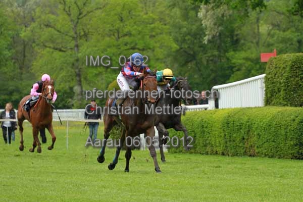 IMG 0162 prot