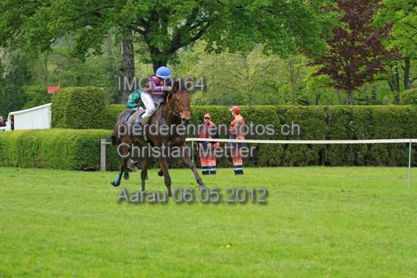 IMG 0164 prot