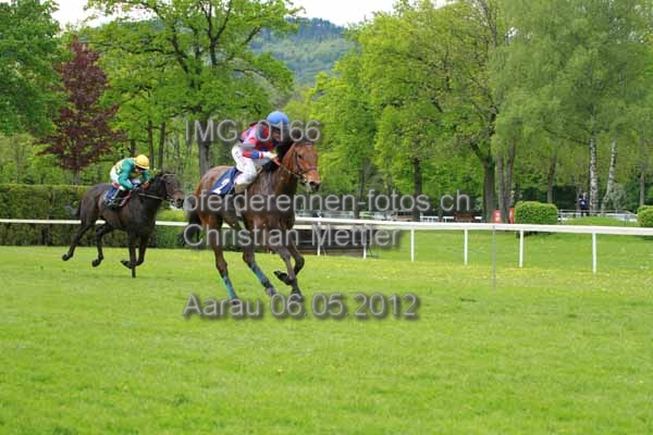 IMG 0166 prot