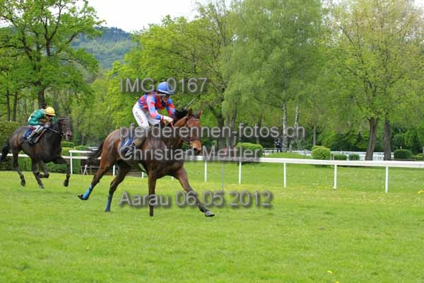 IMG 0167 prot