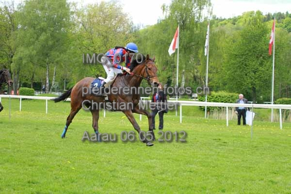 IMG 0170 prot