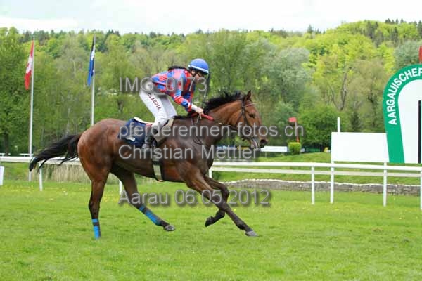IMG 0173 prot