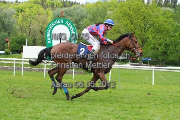 IMG 0175 prot