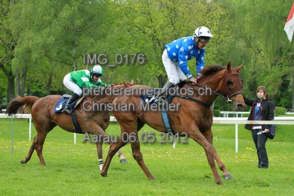 IMG 0176 prot