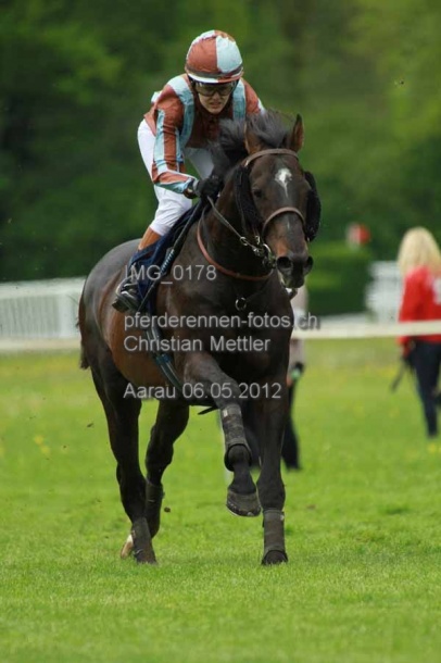 IMG 0178 prot