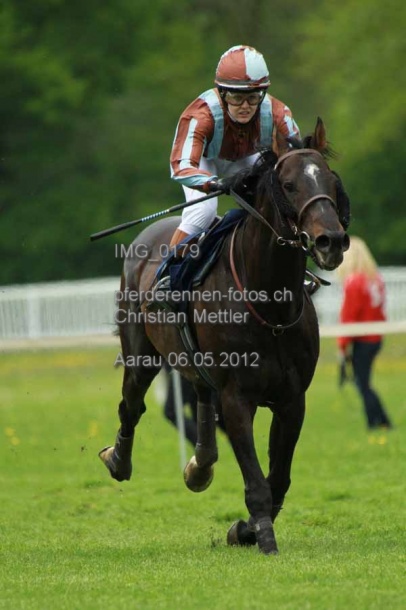 IMG 0179 prot