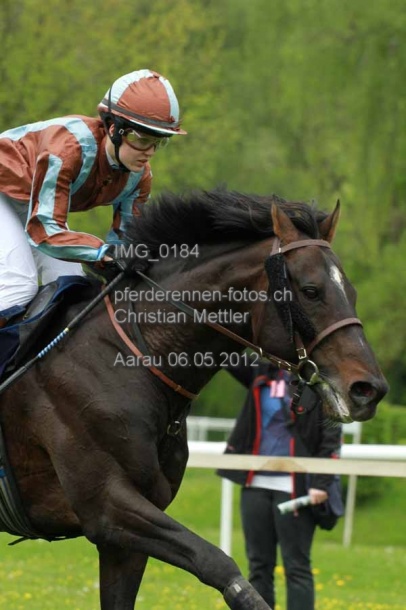IMG 0184 prot