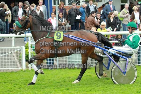 IMG 0211 prot