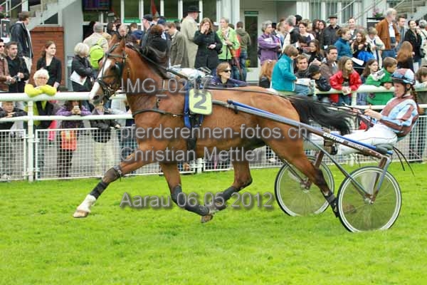 IMG 0217 prot