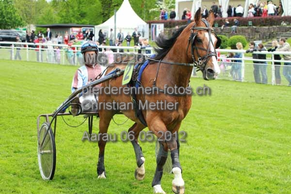 IMG 0220 prot