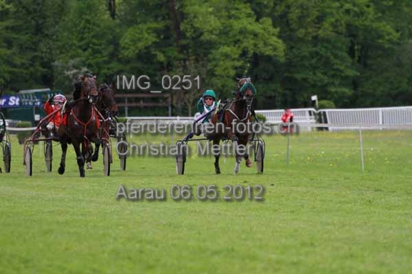 IMG 0251 prot