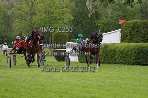 IMG 0253 prot