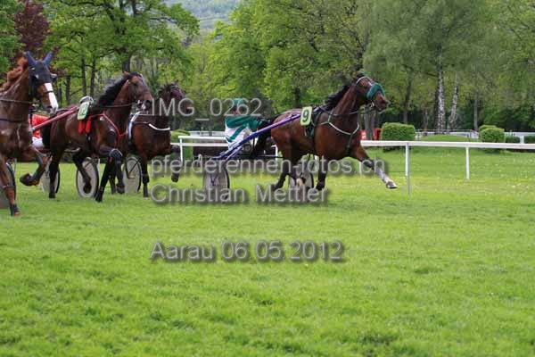 IMG 0262 prot