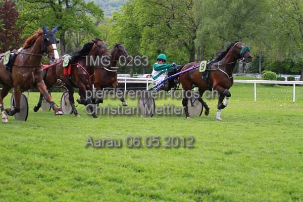 IMG 0263 prot