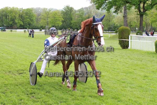IMG 0264 prot