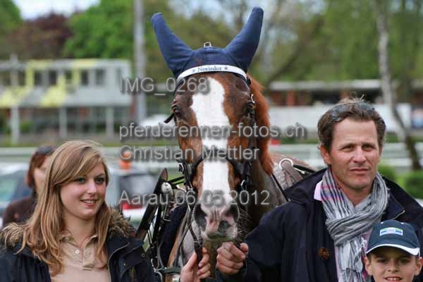 IMG 0268 prot