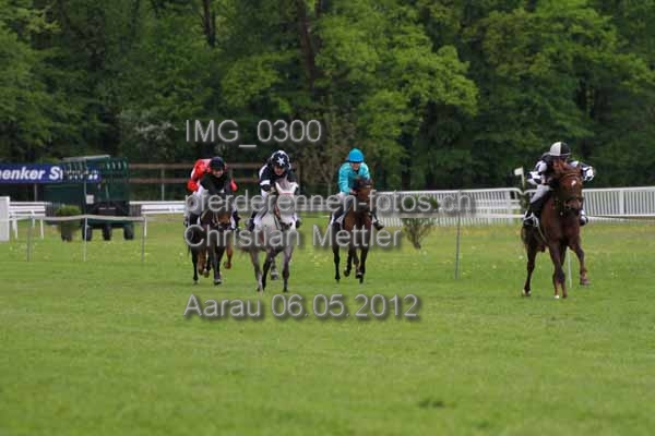 IMG 0300 prot