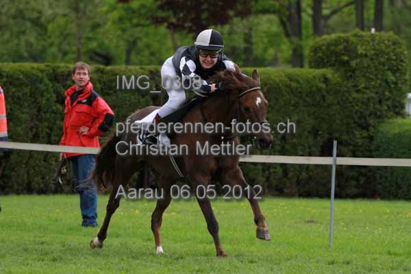 IMG 0308 prot