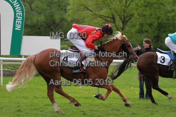 IMG 0320 prot