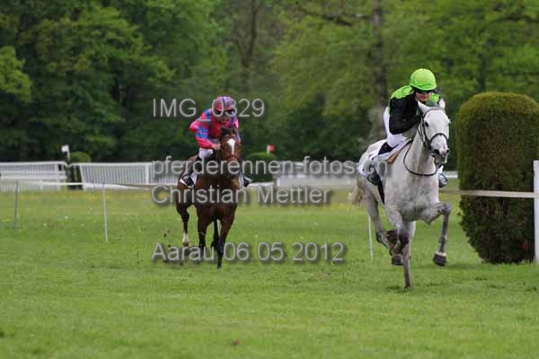 IMG 0329 prot