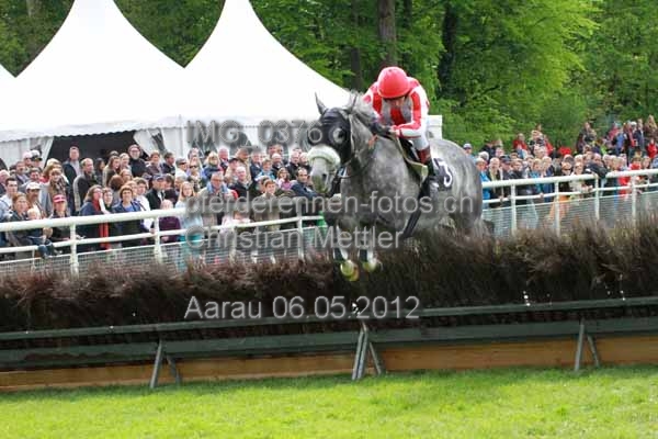 IMG 0376 prot